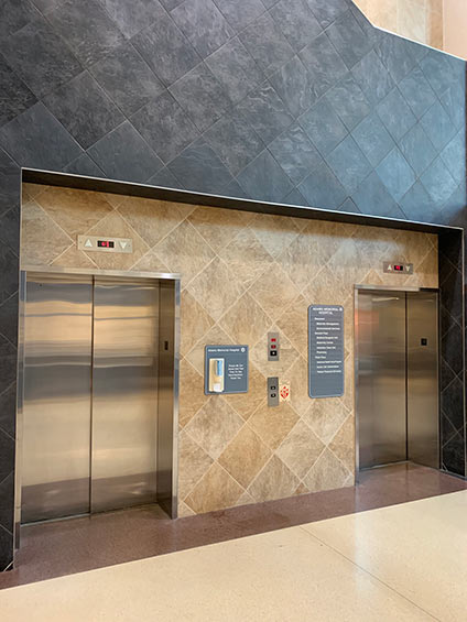 AMH Decorative Wall Tile                                                                                                                                                                                                                                                                                                                                                                                                                                                                                                                                                                                                                                                                                                              